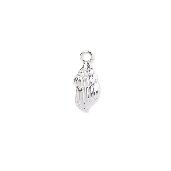 Silver Charms