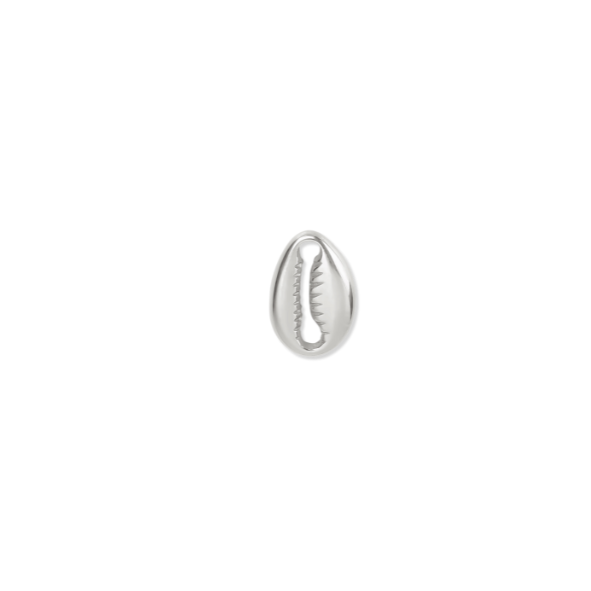 Silver Charms