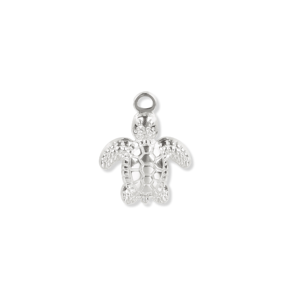 Silver Charms