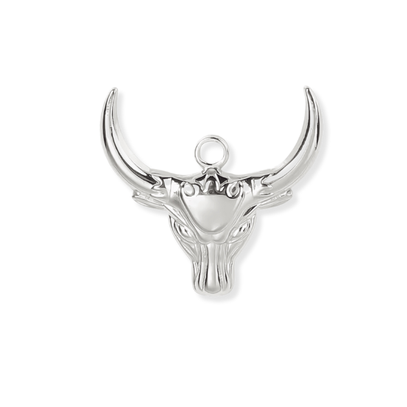 Silver Charms