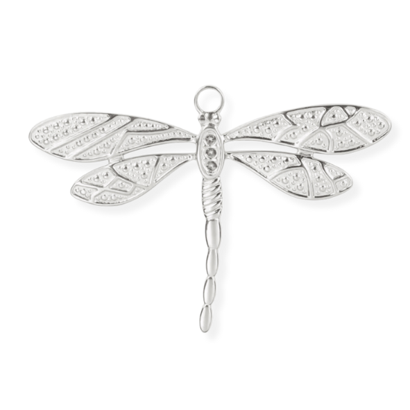 Silver Charms