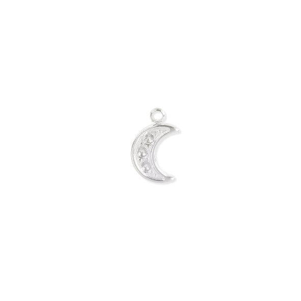 Silver Charms