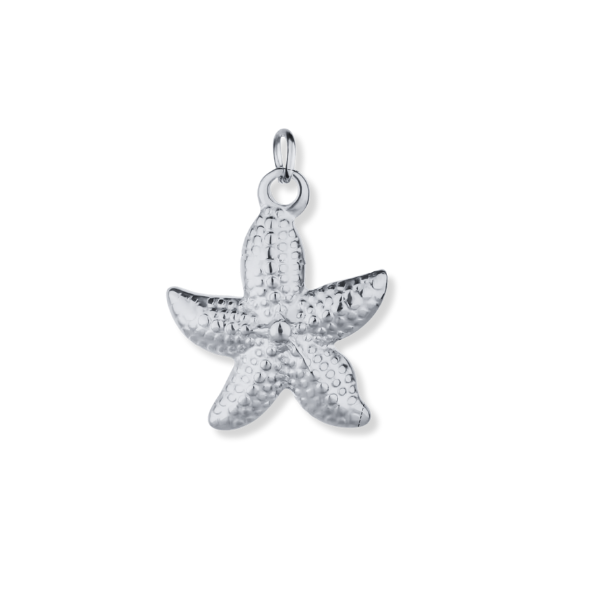 Latch & Lock Silver Charms