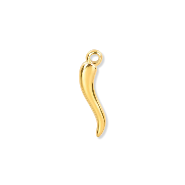 Latch & Lock Charms Gold