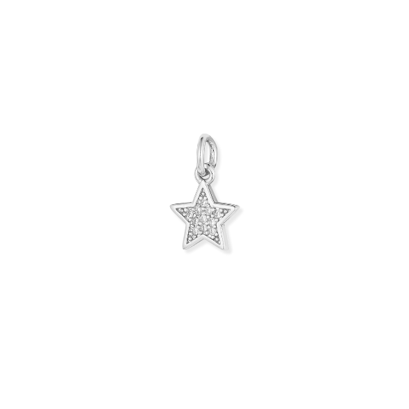 Silver Charms