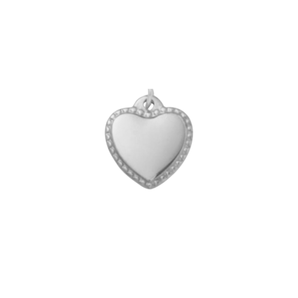 Latch & Lock Silver Charms
