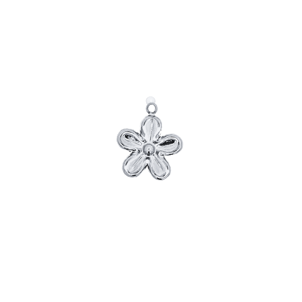 Latch & Lock Silver Charms