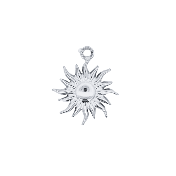 Latch & Lock Silver Charms