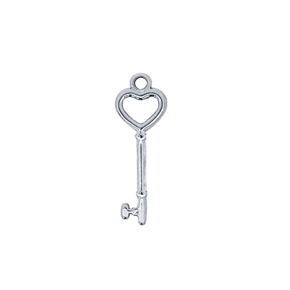 Latch & Lock Silver Charms