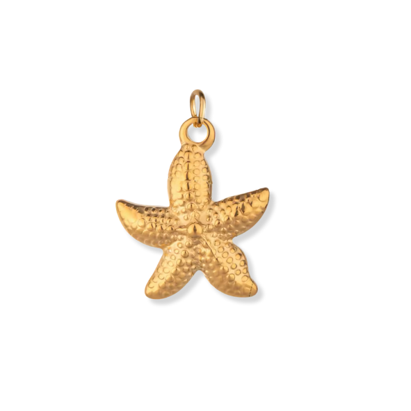 Latch & Lock Charms Gold