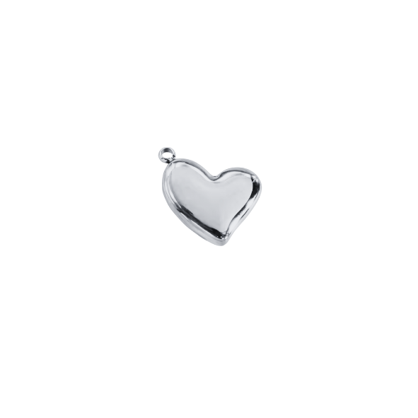 Latch & Lock Silver Charms