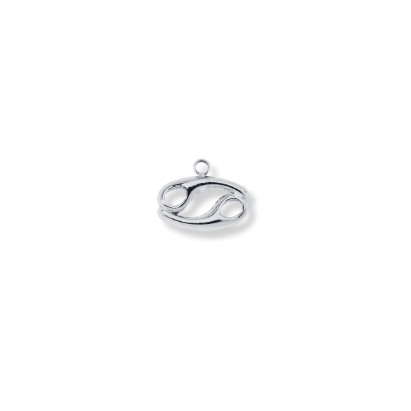 Latch & Lock Charms Silver Zodiac