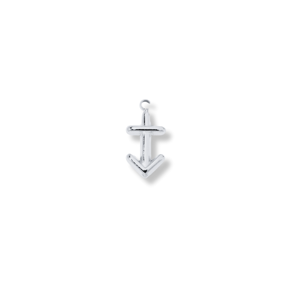 Latch & Lock Charms Silver Zodiac