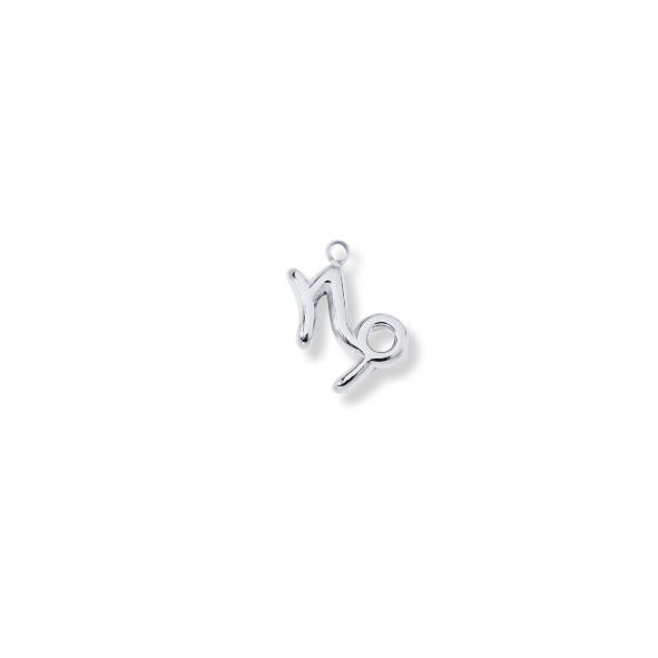 Latch & Lock Charms Silver Zodiac