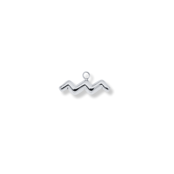 Latch & Lock Charms Silver Zodiac