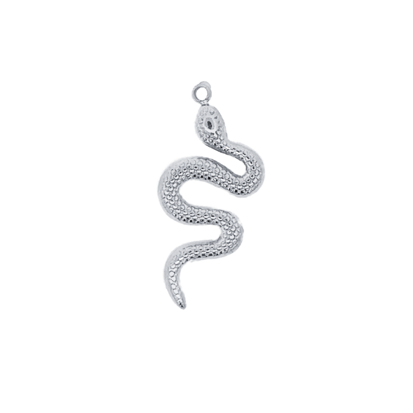 Latch & Lock Silver Charms