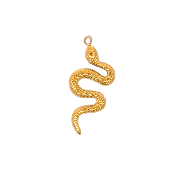 Latch & Lock Charms Gold