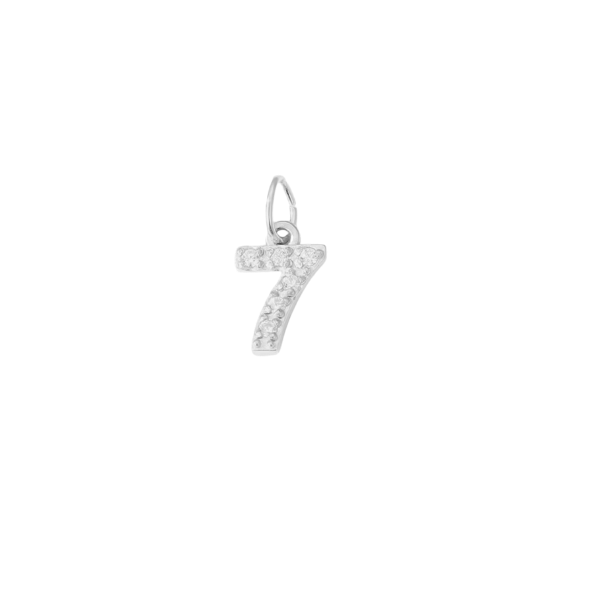 Latch & Lock Silver Numbers