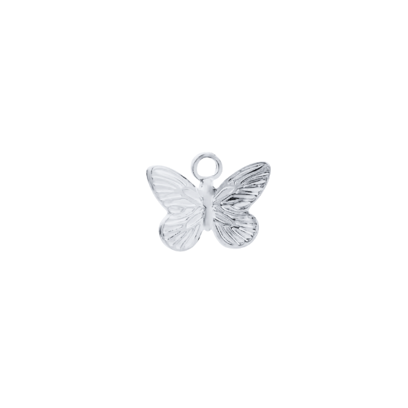 Latch & Lock Silver Charms