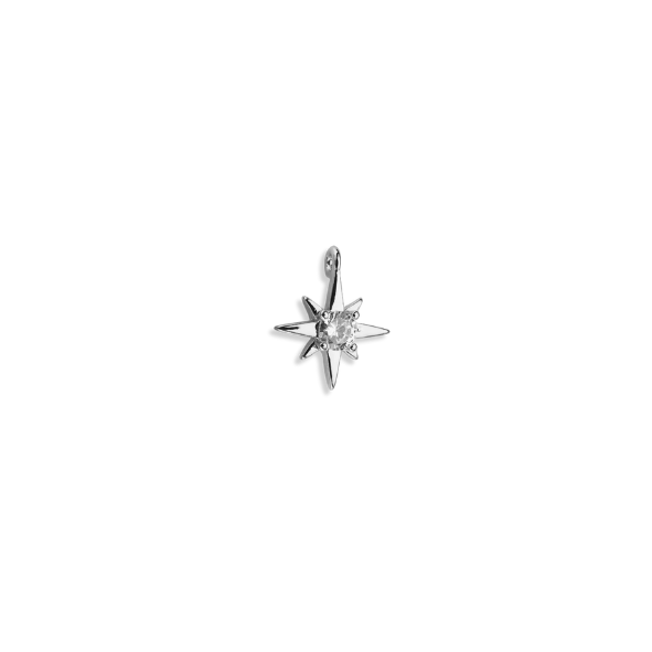 Silver Charms