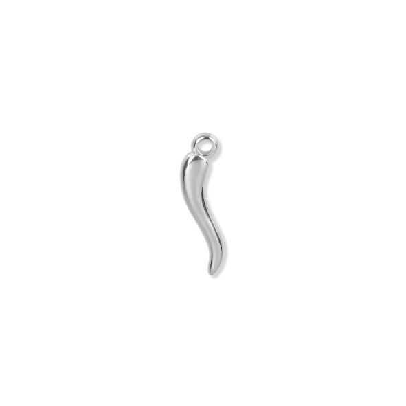 Silver Charms