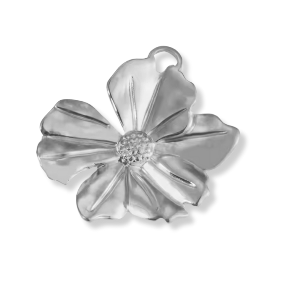 Silver Charms
