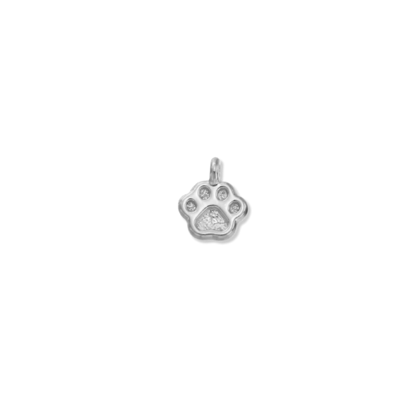 Silver Charms