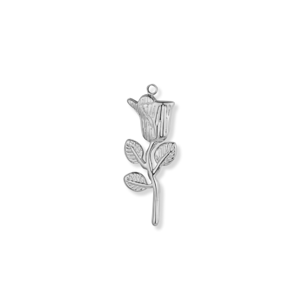 Silver Charms
