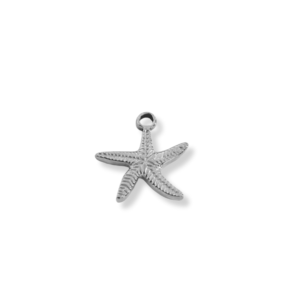 Silver Charms