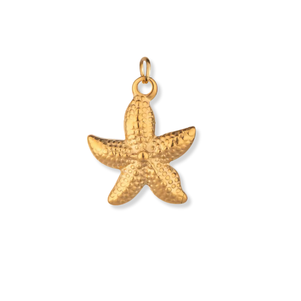 Symbols & Nature Charms