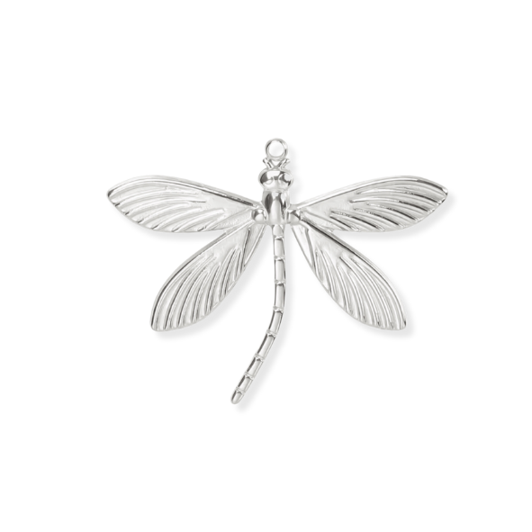 Silver Charms