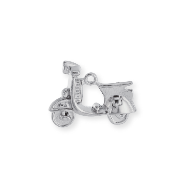 Silver Charms