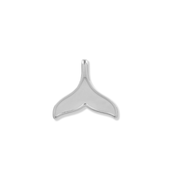 Silver Charms