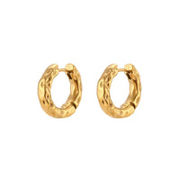 Theo Earrings in Gold