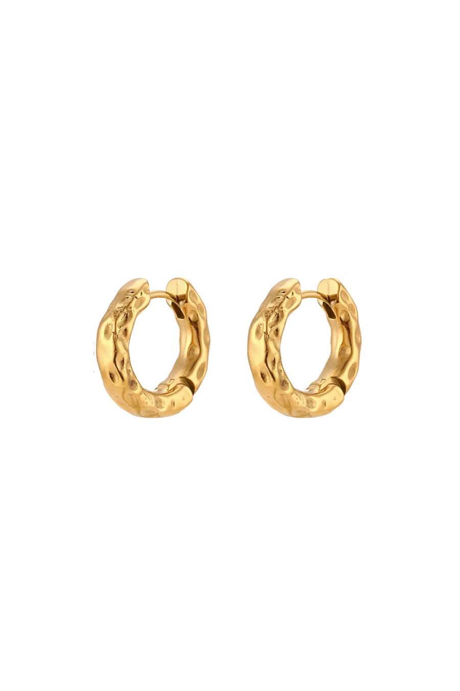 Theo Earrings in Gold